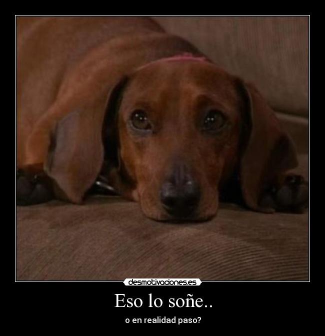 Eso lo soñe.. - o en realidad paso?