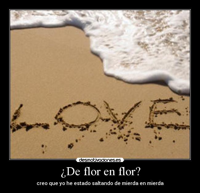 carteles falsas mariposas desmotivaciones