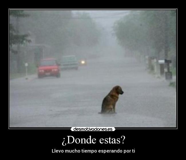 ¿Donde estas? -