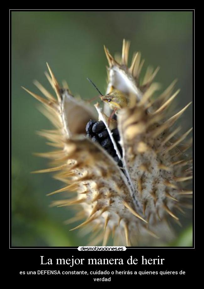 La mejor manera de herir - es una DEFENSA constante, cuidado o herirás a quienes quieres de verdad