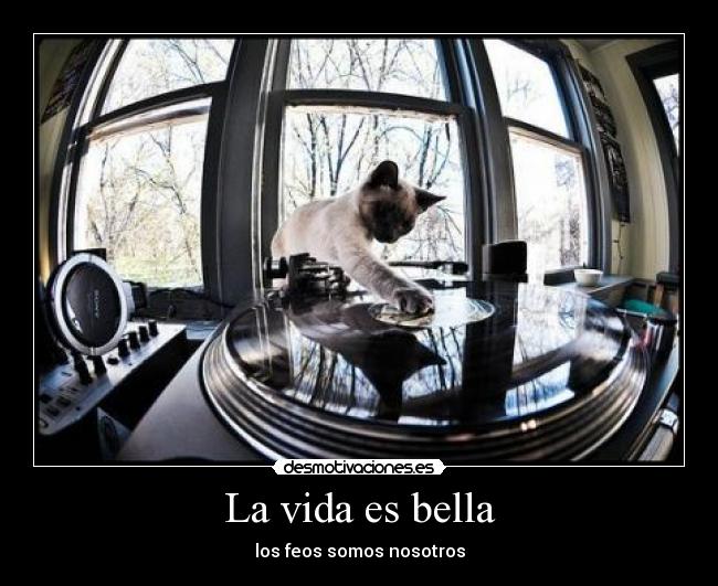 carteles vida desmoclan clanvirus desmotivaciones