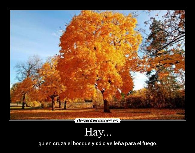 Hay... - quien cruza el bosque y sólo ve leña para el fuego.