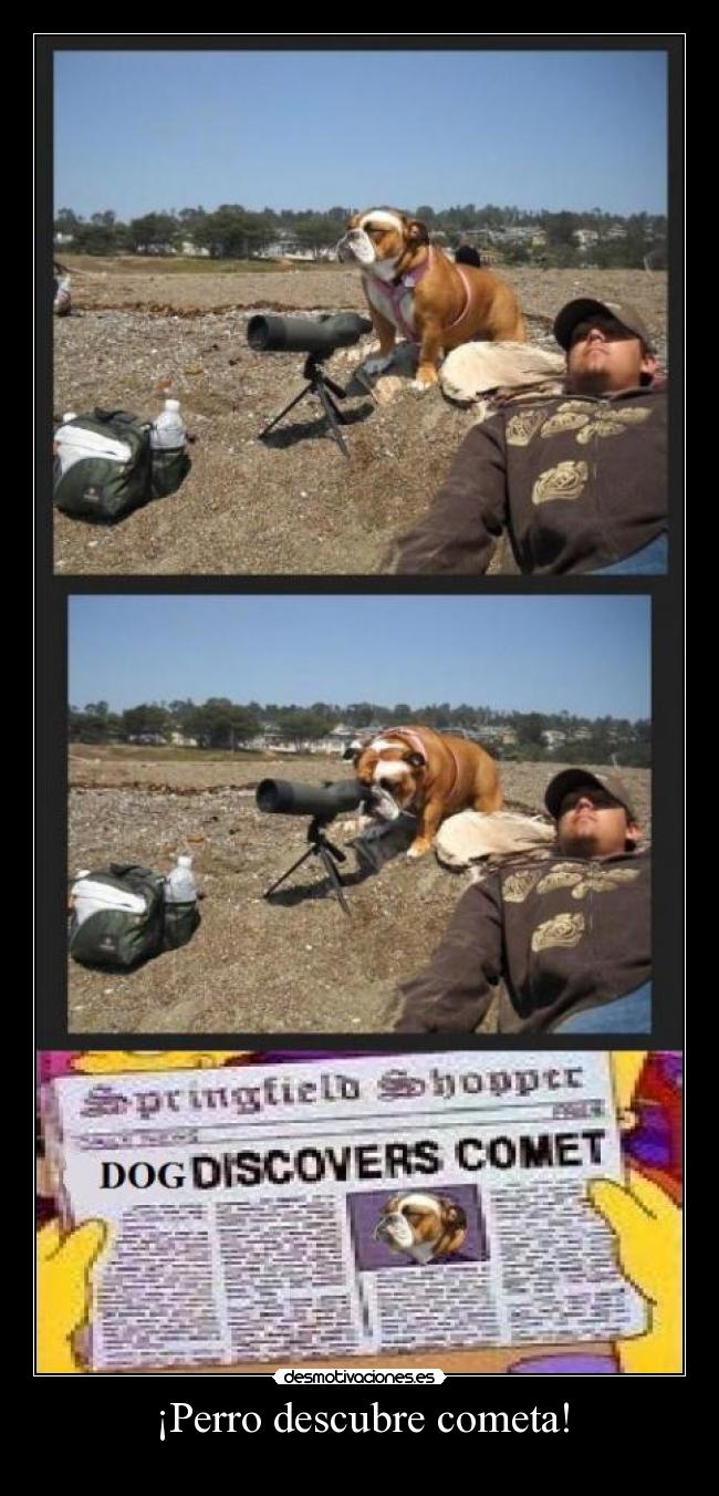 carteles perdon por imagen fina sabeis como paint desmotivaciones