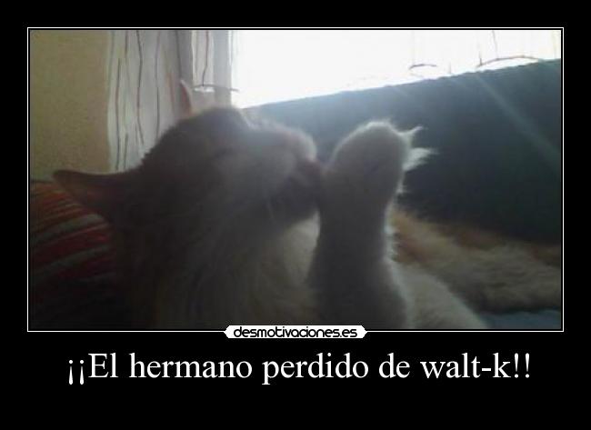 ¡¡El hermano perdido de walt-k!! - 