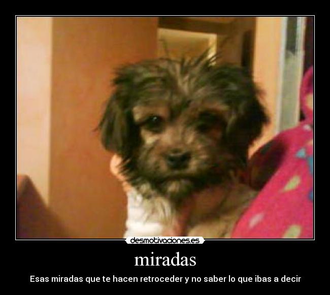 miradas - Esas miradas que te hacen retroceder y no saber lo que ibas a decir