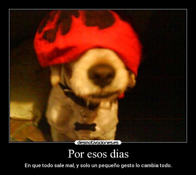 Por esos dias - En que todo sale mal, y solo un pequeño gesto lo cambia todo.