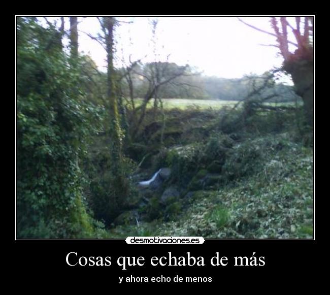 Cosas que echaba de más - y ahora echo de menos