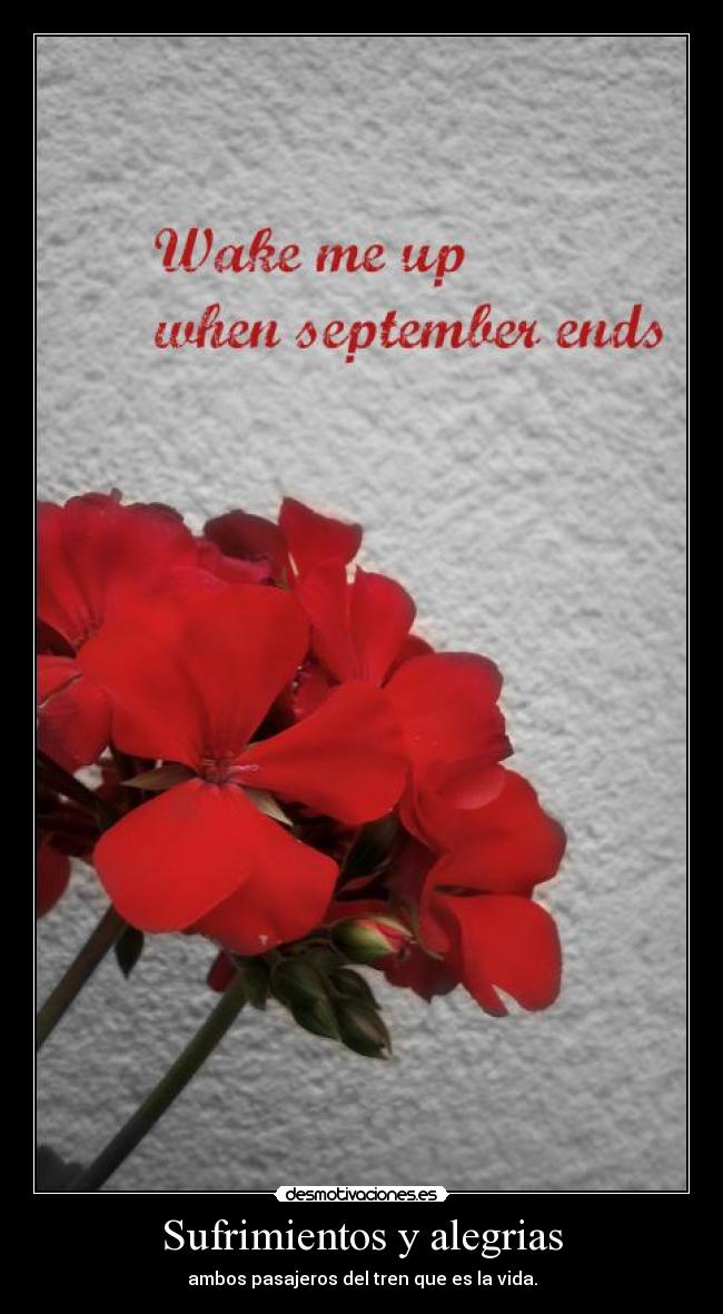 Sufrimientos y alegrias - ambos pasajeros del tren que es la vida.