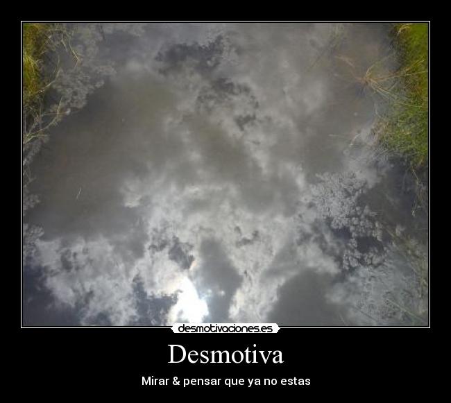 carteles  desmotivaciones