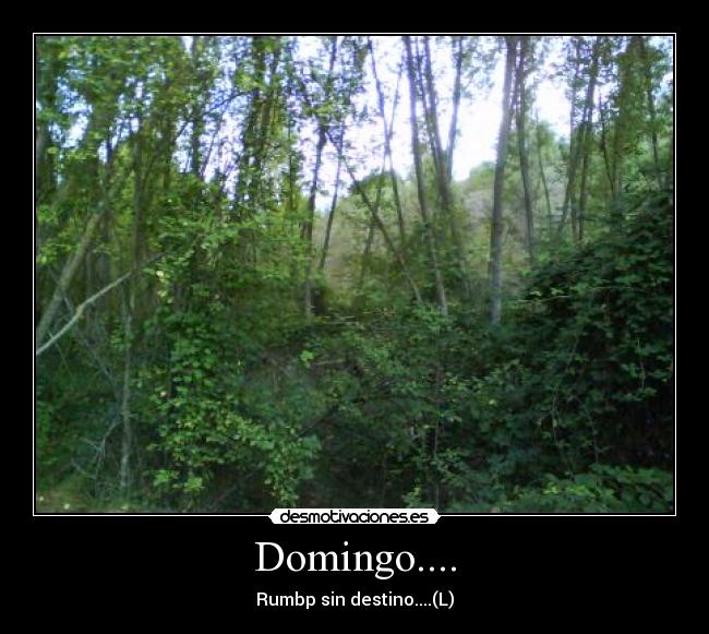 Domingo.... - Rumbp sin destino....(L)