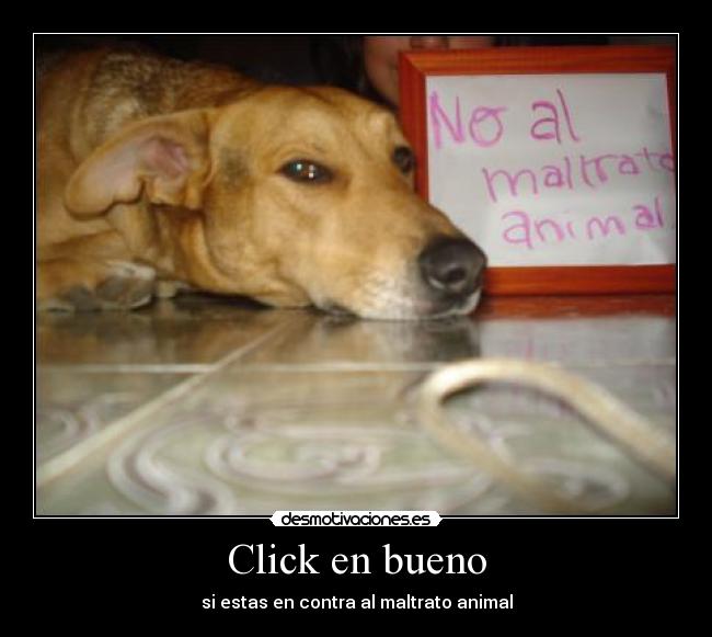 Click en bueno -
