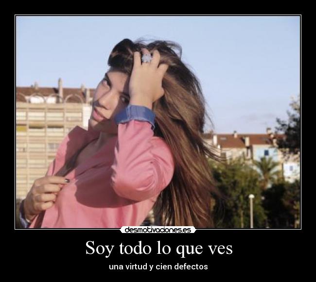 Soy todo lo que ves - una virtud y cien defectos