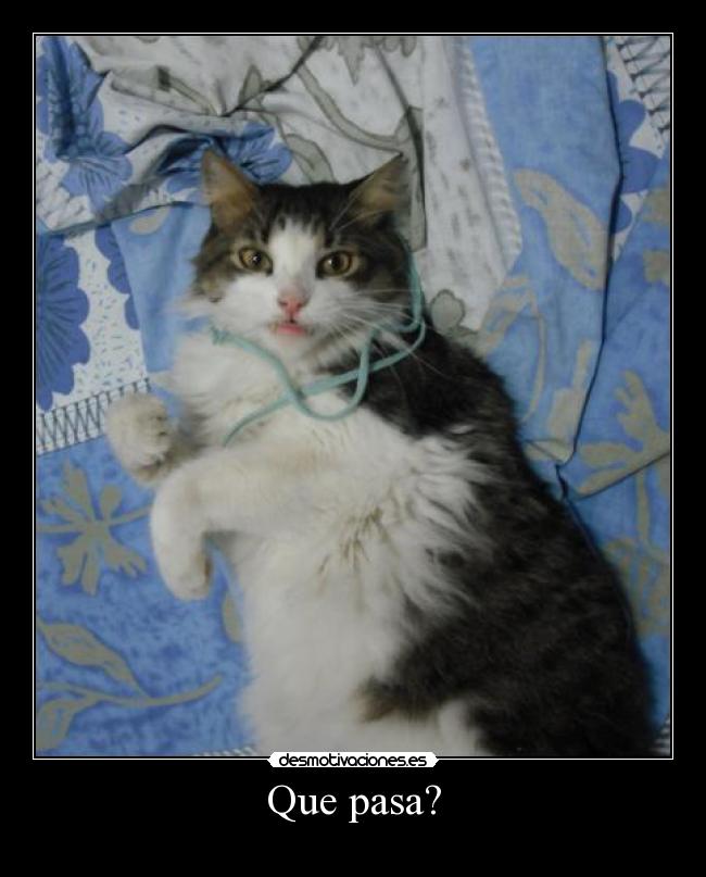Que pasa? -
