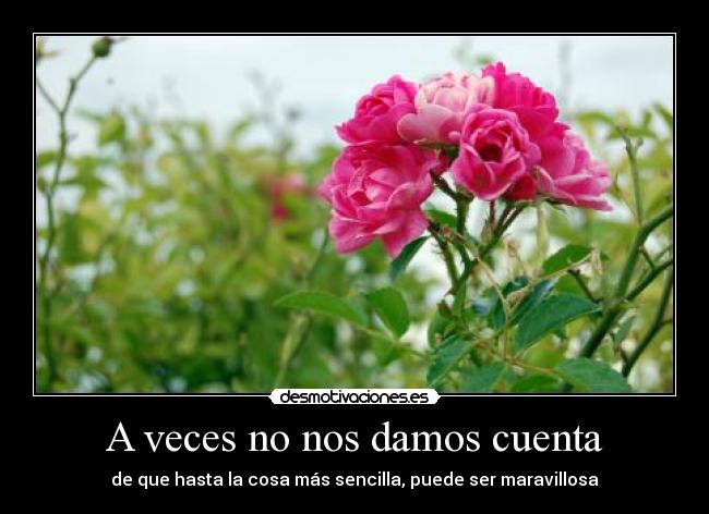 A veces no nos damos cuenta -