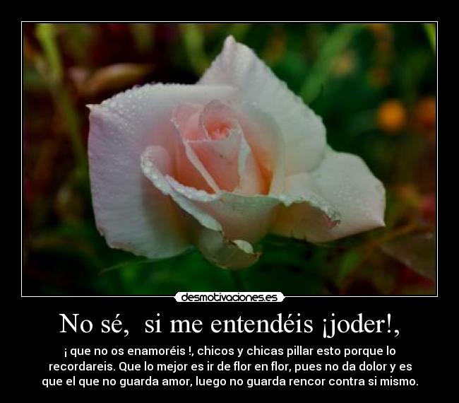 No sé,  si me entendéis ¡joder!, - 