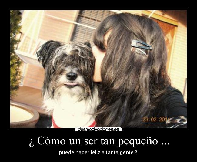 ¿ Cómo un ser tan pequeño ... - puede hacer feliz a tanta gente ?