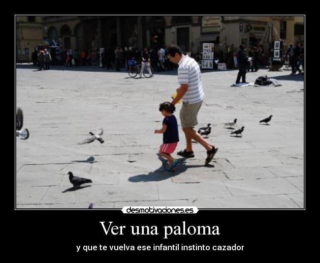 Ver una paloma -