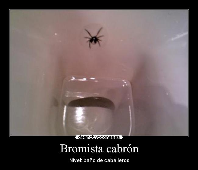 Bromista cabrón - Nivel: baño de caballeros