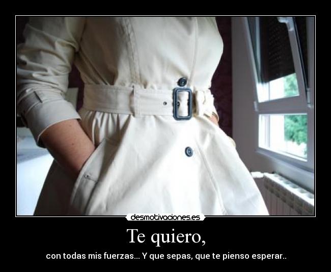 Te quiero, - con todas mis fuerzas... Y que sepas, que te pienso esperar..