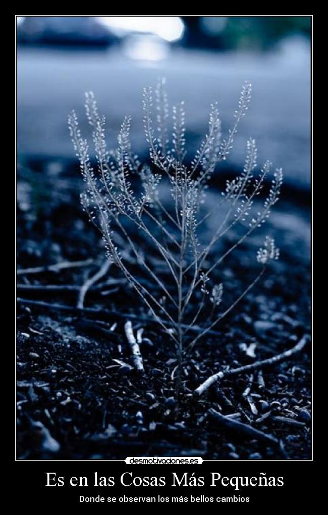 Es en las Cosas Más Pequeñas - 