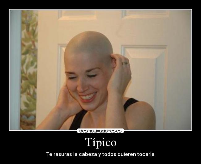 Típico - Te rasuras la cabeza y todos quieren tocarla