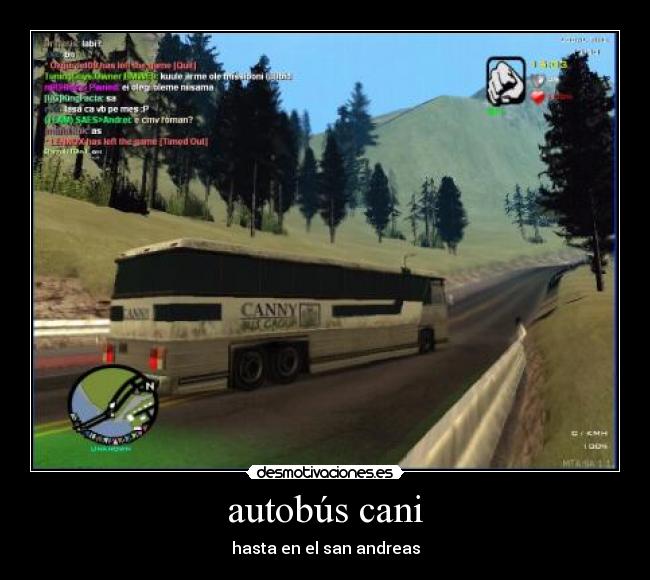 autobús cani -