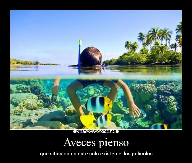 Aveces pienso - que sitios como este solo existen el las películas