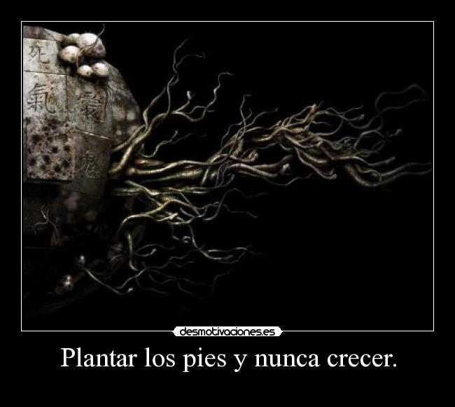 Plantar los pies y nunca crecer. -