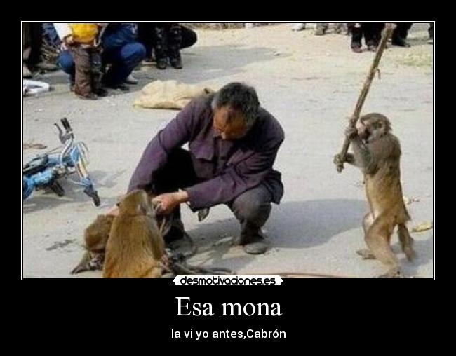Esa mona - la vi yo antes,Cabrón