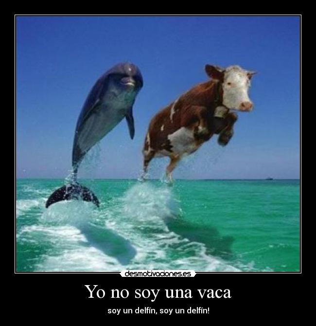 carteles vaca delfin yo no soy mixta denisgb desmotivaciones