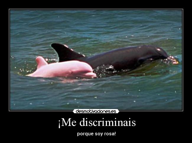 ¡Me discriminais - 