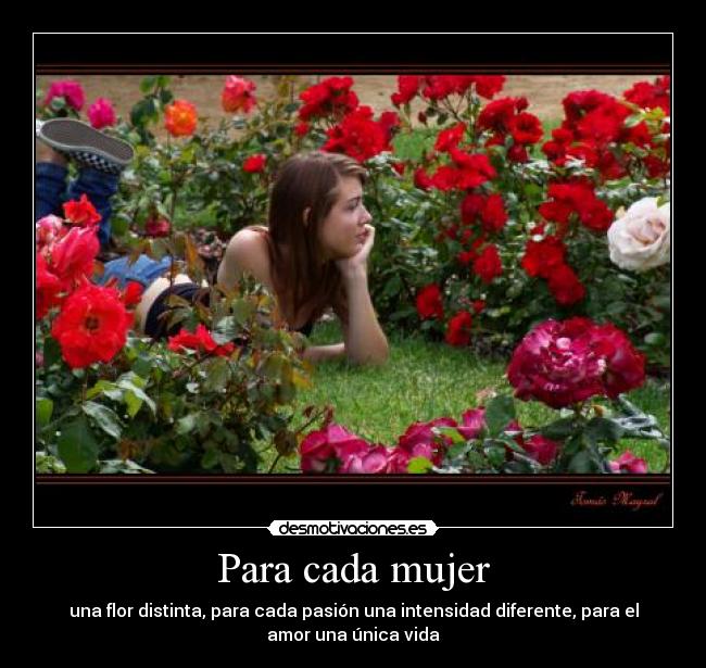 Para cada mujer - una flor distinta, para cada pasión una intensidad diferente, para el
amor una única vida