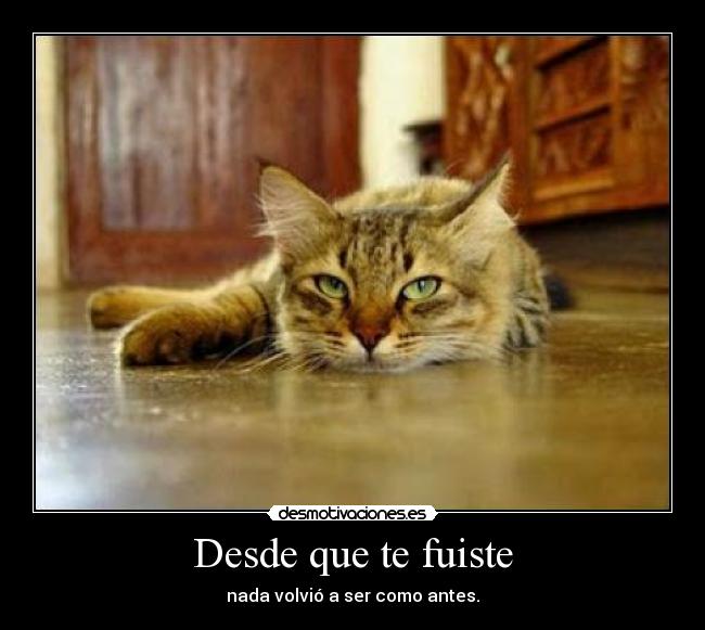 Desde que te fuiste - 