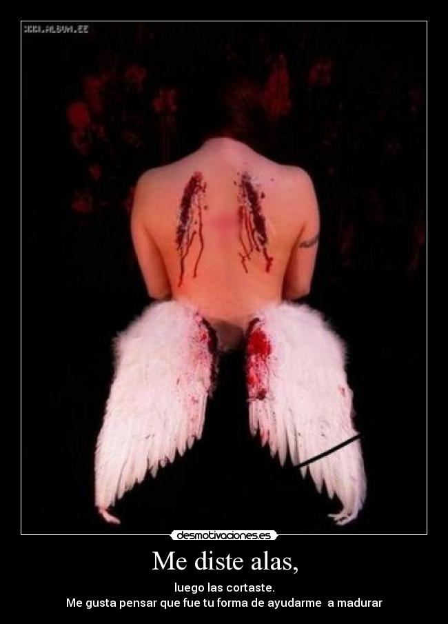 carteles alas madurar desmotivaciones