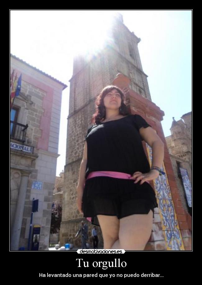 Tu orgullo - Ha levantado una pared que yo no puedo derribar...