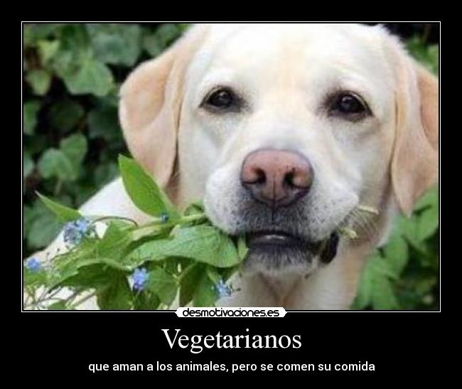 Vegetarianos -