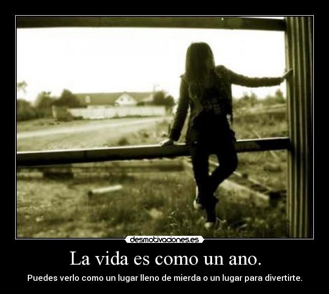 La vida es como un ano. - Puedes verlo como un lugar lleno de mierda o un lugar para divertirte.
