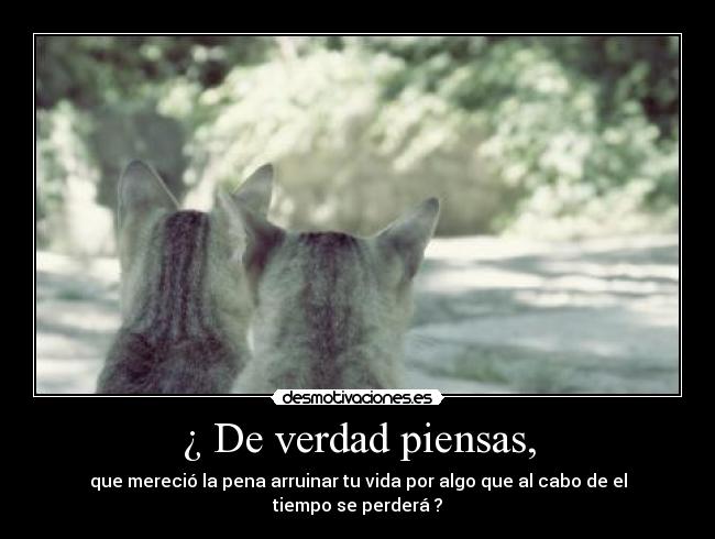 ¿ De verdad piensas, - 