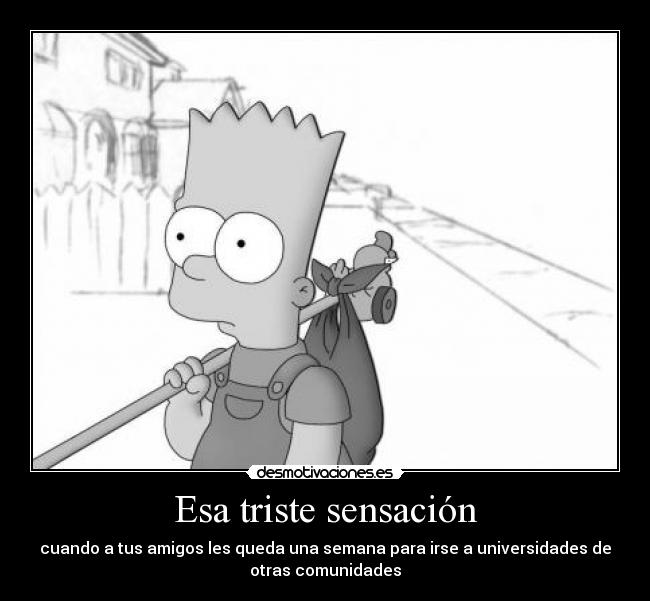 Esa triste sensación - cuando a tus amigos les queda una semana para irse a universidades de
otras comunidades