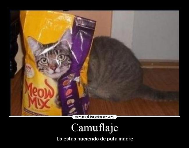 Camuflaje -