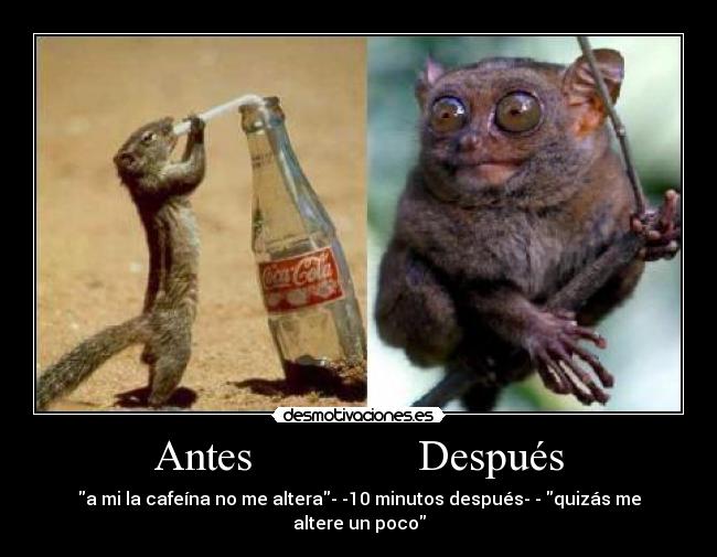 carteles ardillas adictas desmotivaciones