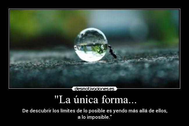 La única forma... - De descubrir los límites de lo posible es yendo más allá de ellos, a lo imposible.
