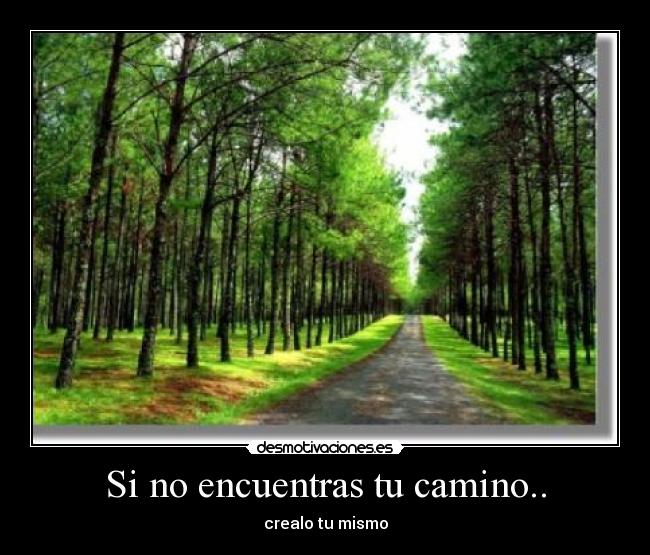 Si no encuentras tu camino.. - 
