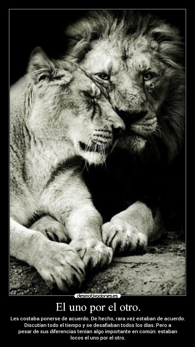 El uno por el otro. - 