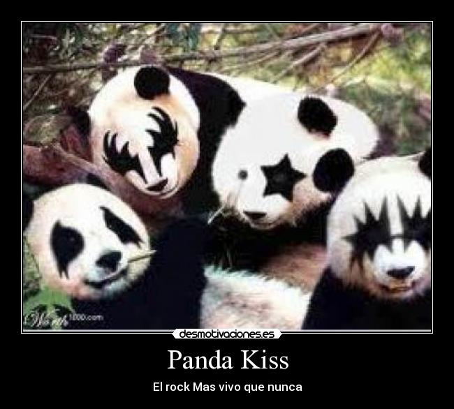 Panda Kiss - El rock Mas vivo que nunca