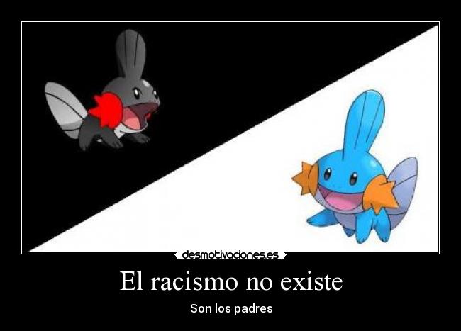 El racismo no existe - 