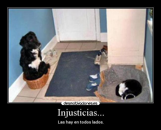 Injusticias... - 