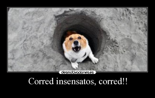 Corred insensatos, corred!! -