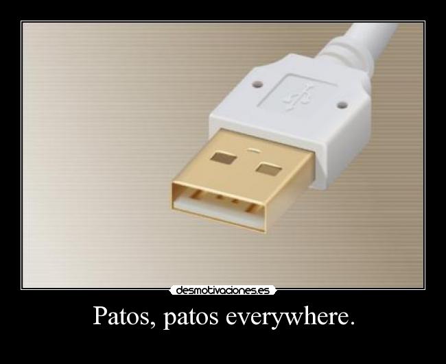 Patos, patos everywhere. -