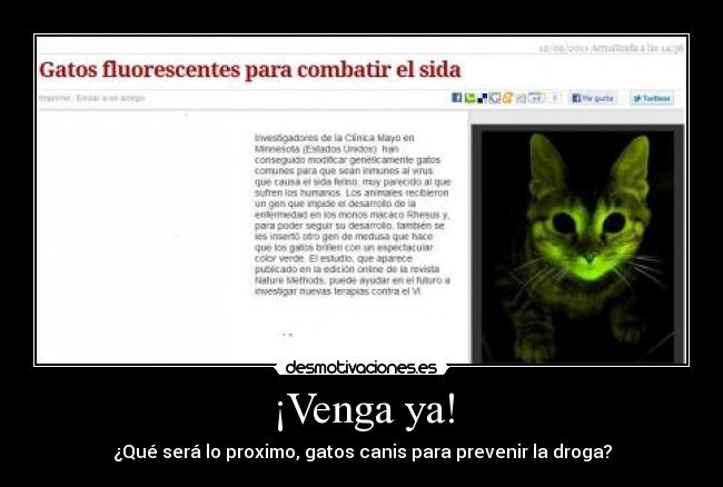 ¡Venga ya! - ¿Qué será lo proximo, gatos canis para prevenir la droga?